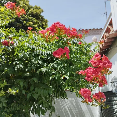 بيت للعطل Casa Centrica En